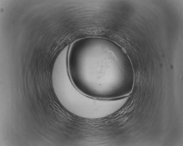 X0000067861202200604130936