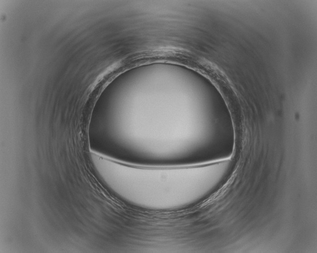 X0000067861210200604130936