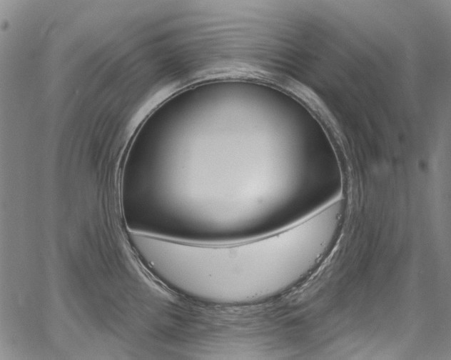 X0000067861242200604130936
