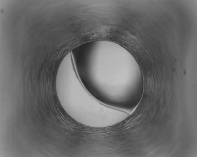 X0000067861250200604130936