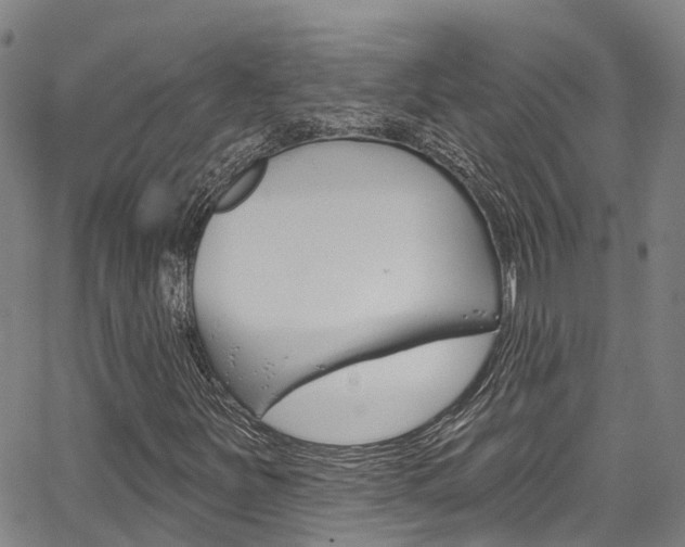 X0000067861251200604130936