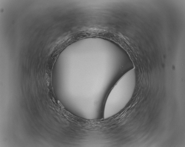 X0000067861253200604130936