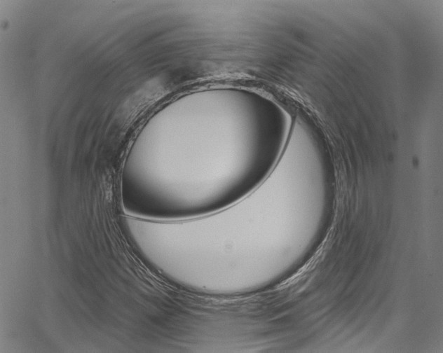 X0000067861257200604130935