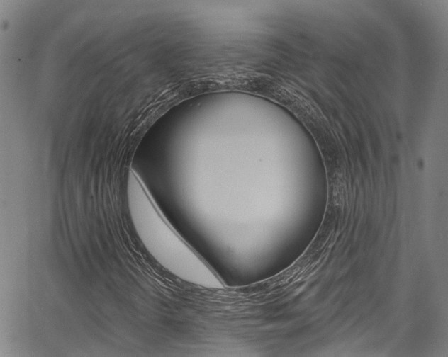 X0000067861298200604130934