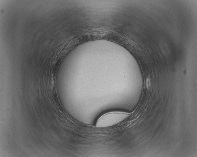 X0000067861299200604130934