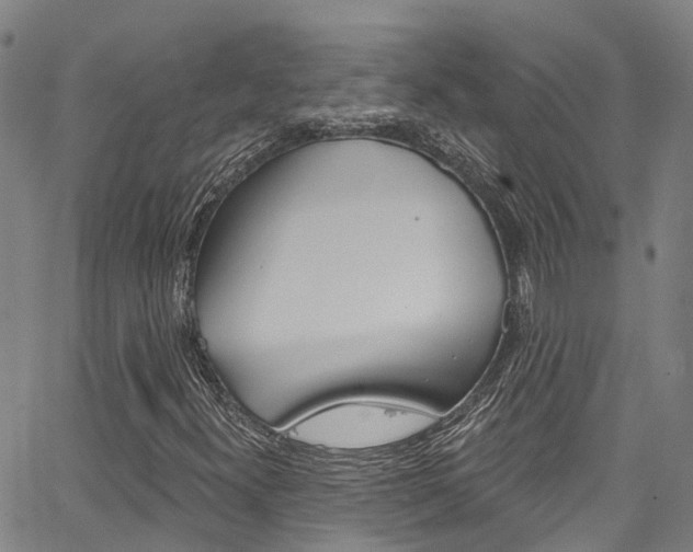X0000067861300200604130934
