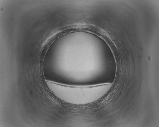 X0000067861304200604130934