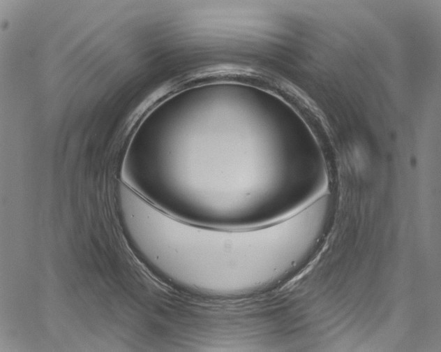 X0000067861321200604130934