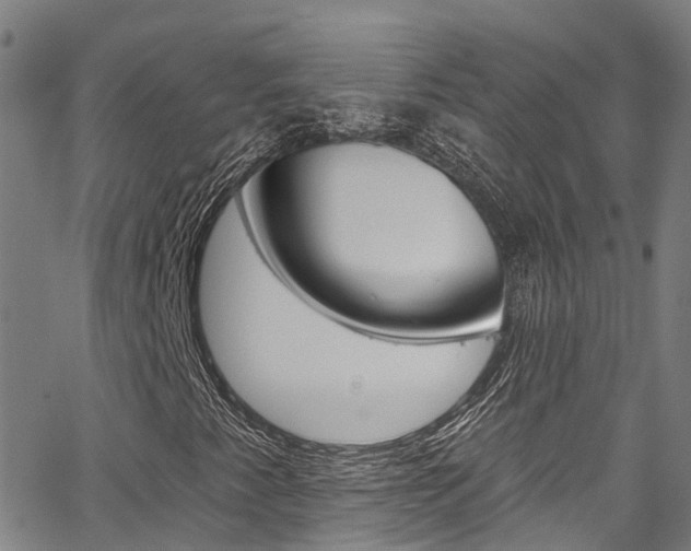 X0000067861345200604130934