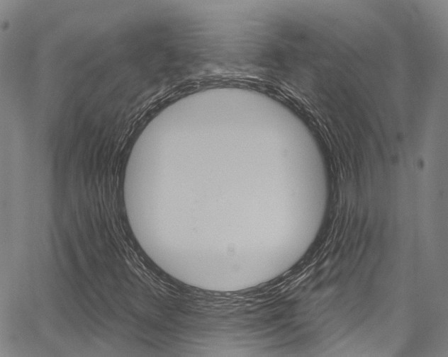 X0000067861348200604130934