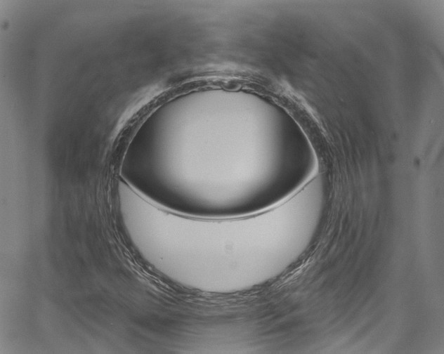 X0000067861352200604130934