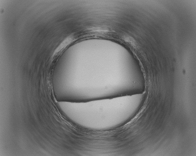 X0000067861354200604130934