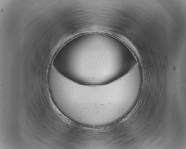 X0000067861388200604130933