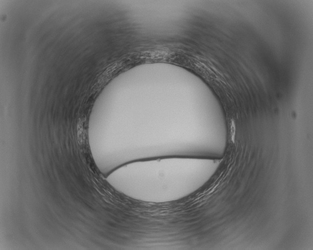 X0000067861395200604130933