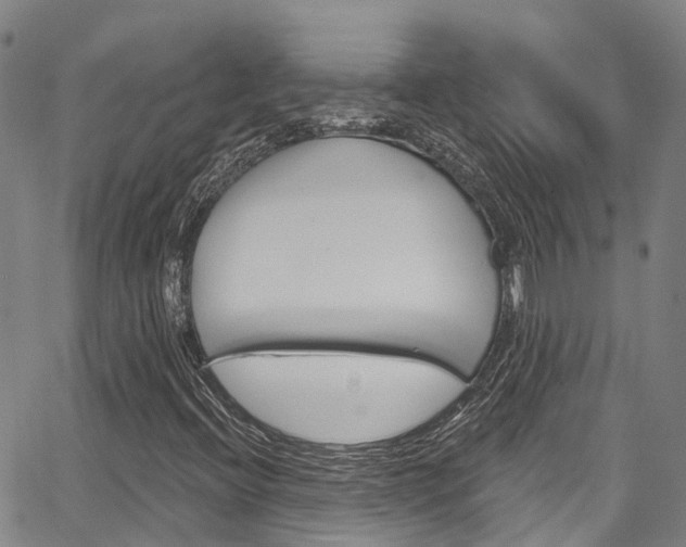 X0000067861396200604130933