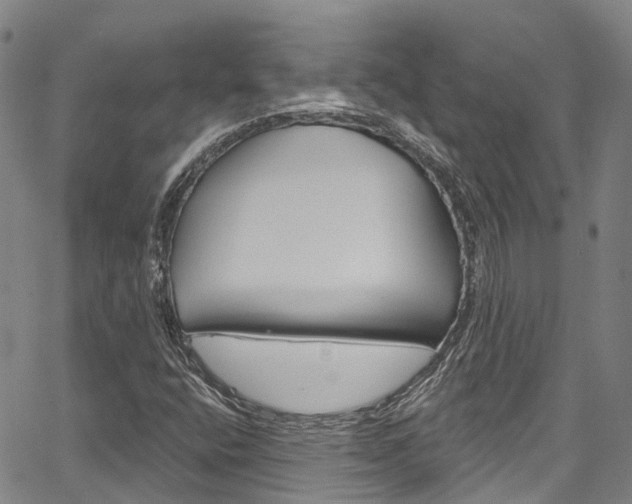 X0000067861400200604130933