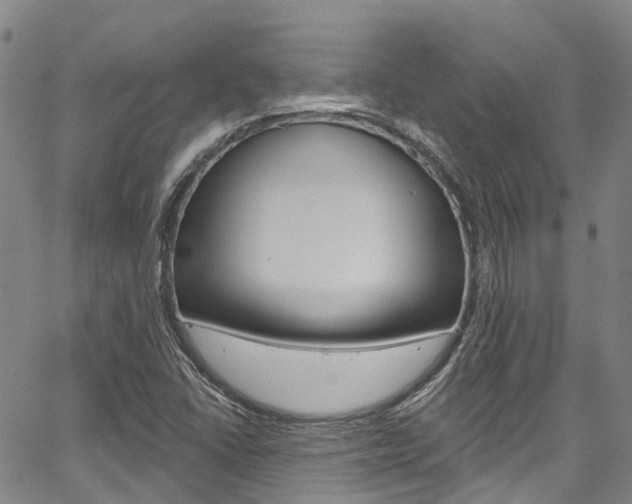 X0000067861406200604130933