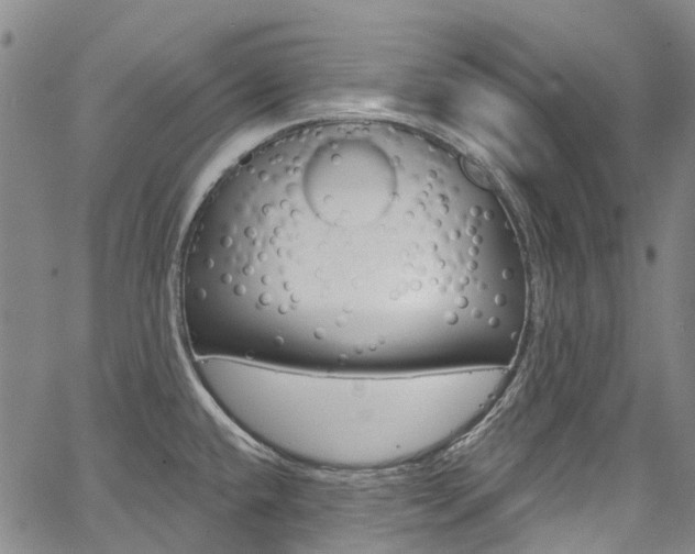 X0000067861432200604130933