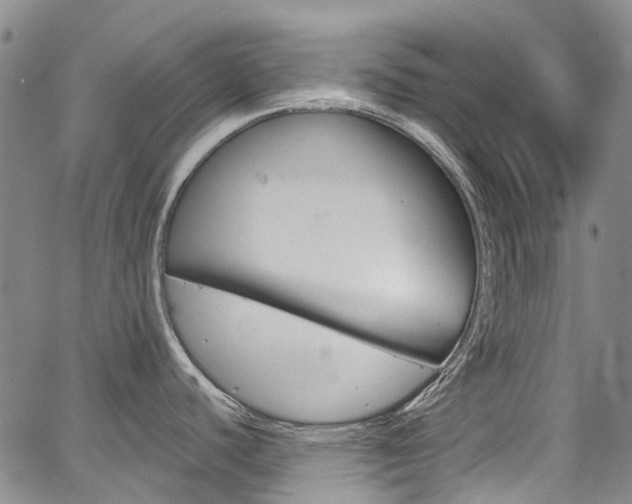 X0000067861440200604130933