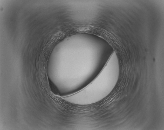 X0000067861441200604130932