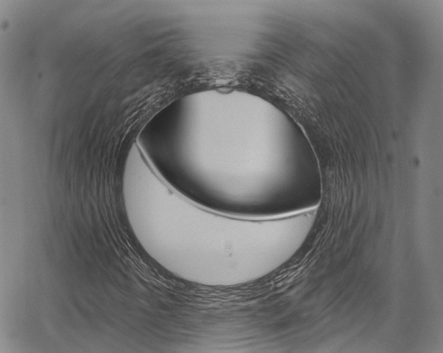 X0000067861442200604130932