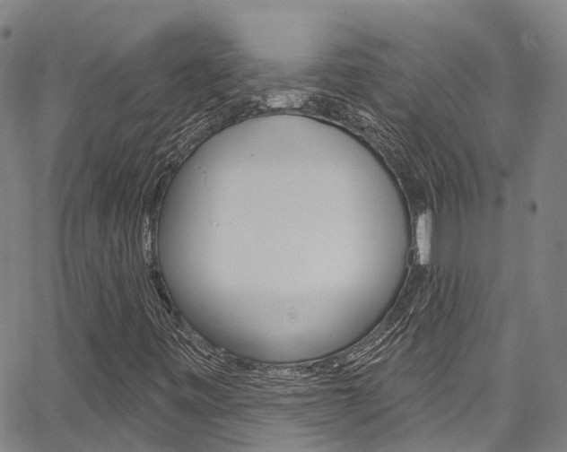 X0000067861443200604130932