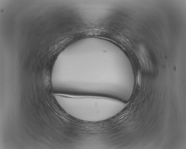 X0000067861444200604130932
