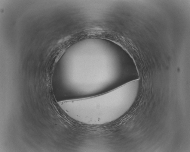 X0000067861445200604130932