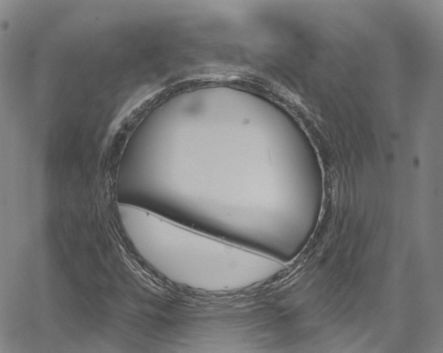 X0000067861448200604130932