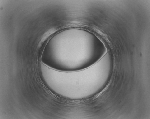 X0000067861453200604130932