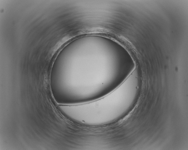 X0000067861457200604130932