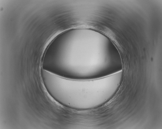 X0000067861484200604130932