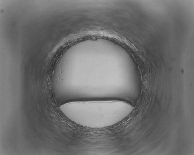 X0000067861495200604130931