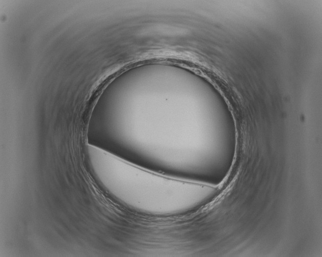 X0000067861497200604130931