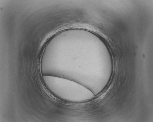 X0000067861498200604130931