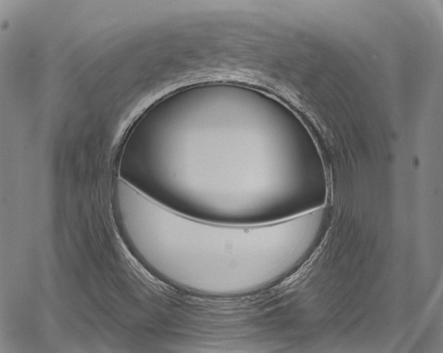 X0000067861500200604130931