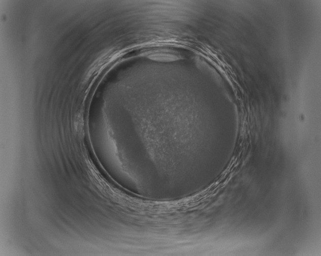 X0000067860002200604131328