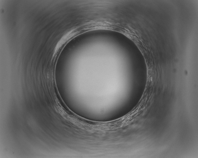 X0000067860004200604131328