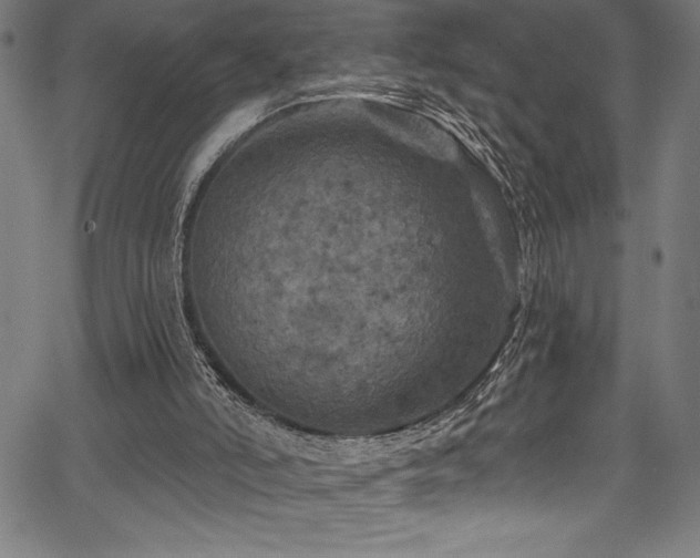 X0000067860006200604131328