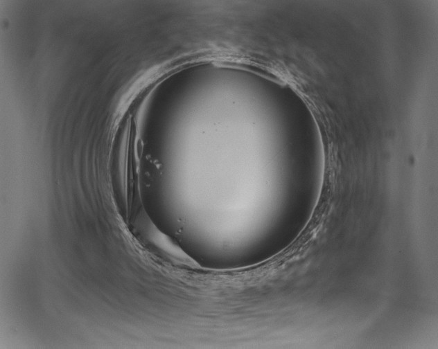 X0000067860007200604131328