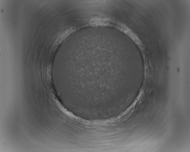 X0000067860009200604131328