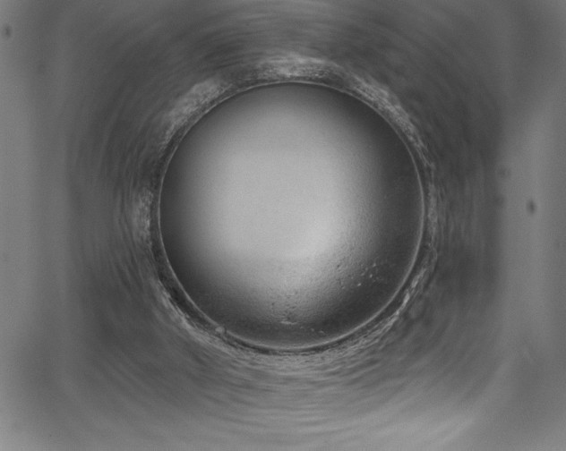 X0000067860010200604131328