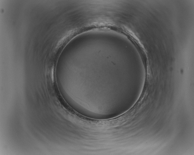 X0000067860019200604131327