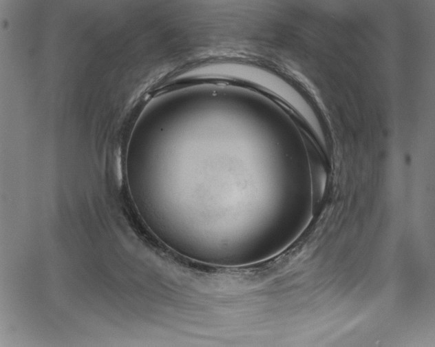 X0000067860020200604131327
