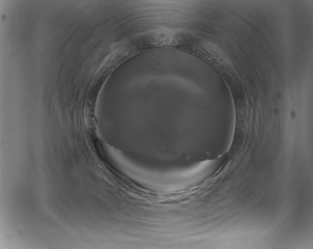 X0000067860035200604131327