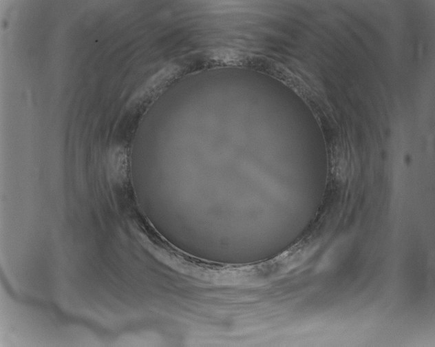 X0000067860036200604131327