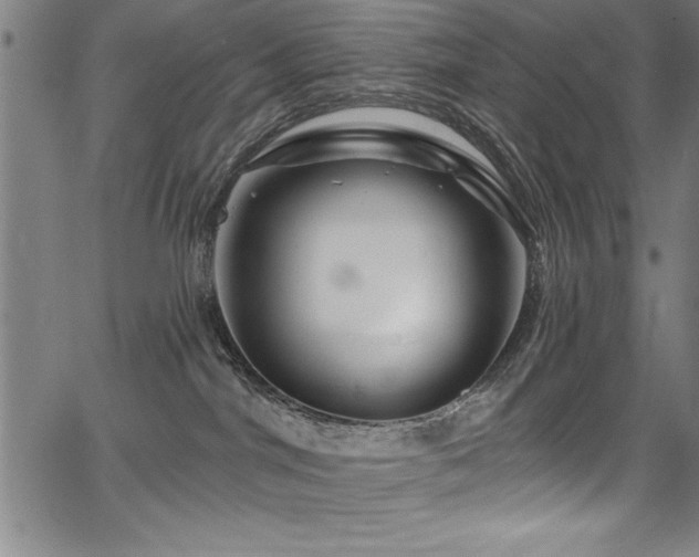X0000067860044200604131327
