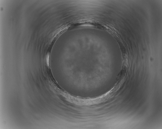 X0000067860047200604131327