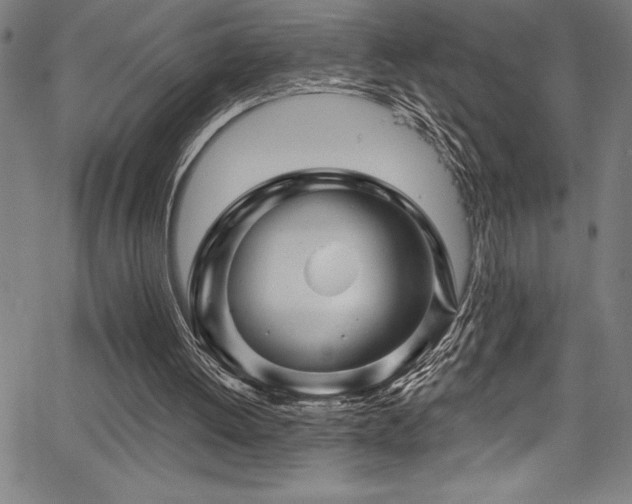 X0000067860052200604131326