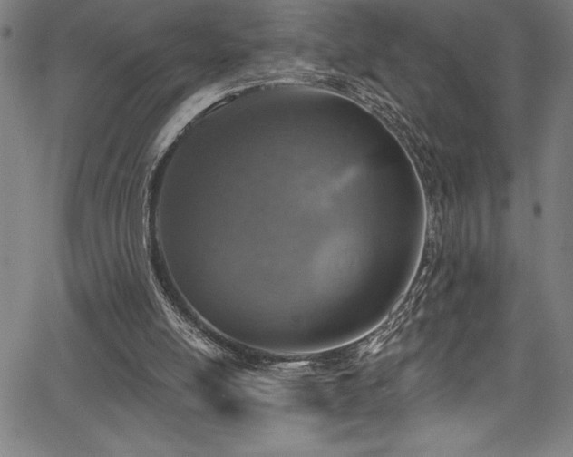 X0000067860054200604131326